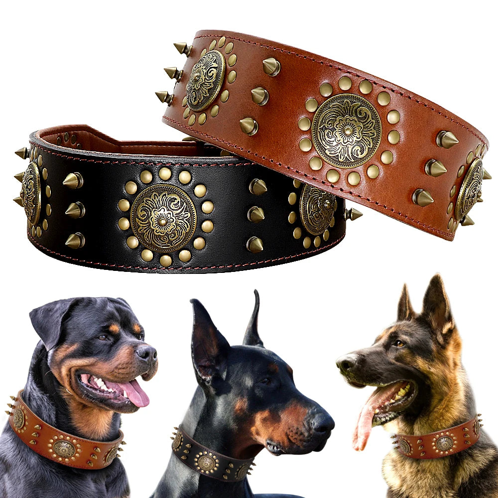 Collier Large pour Chien en Cuir Véritable avec Clous