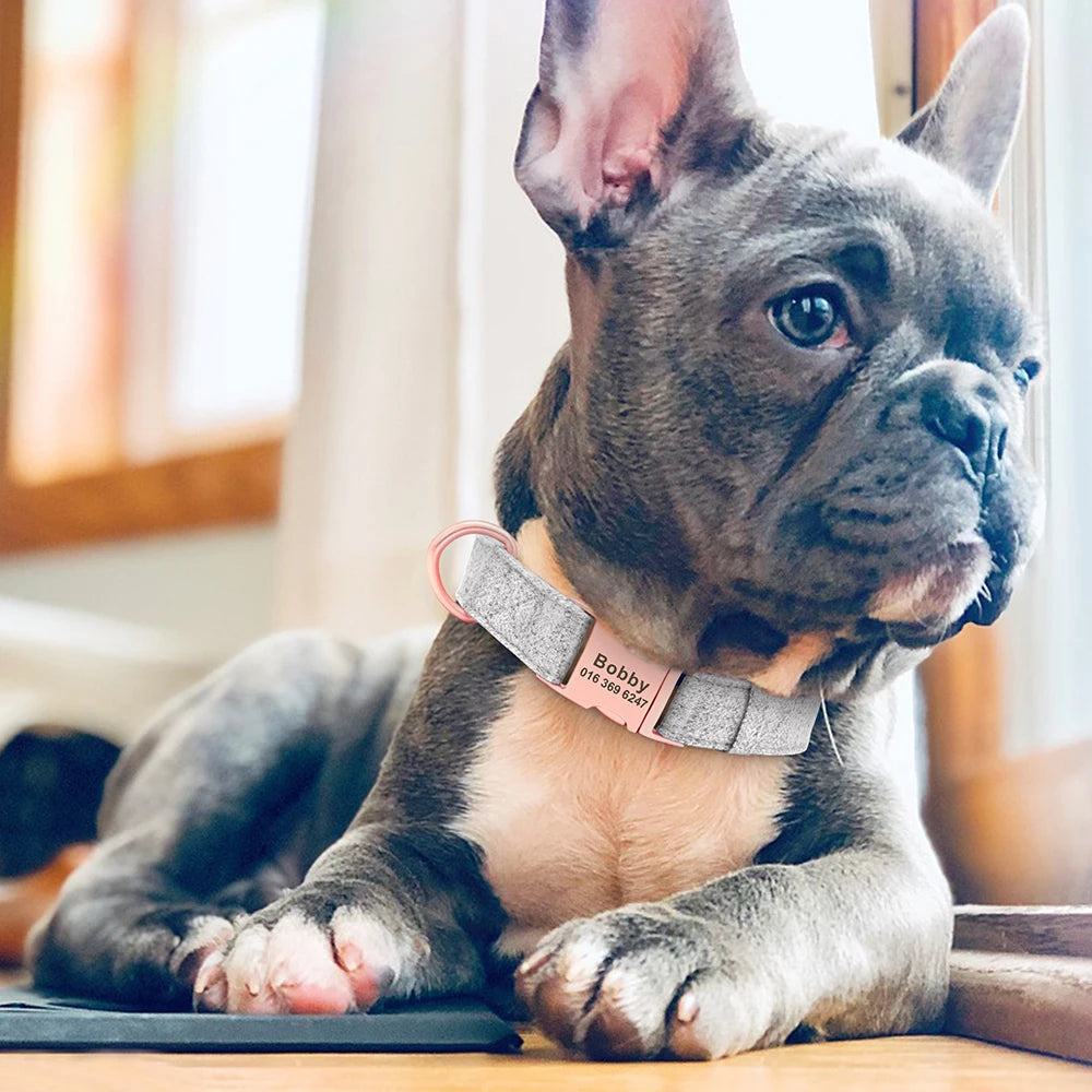 Collier pour Chien Personnalisé en Coton