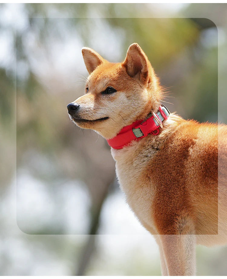 Collier pour Chien AirTag – Nylon Réfléchissant Ajustable