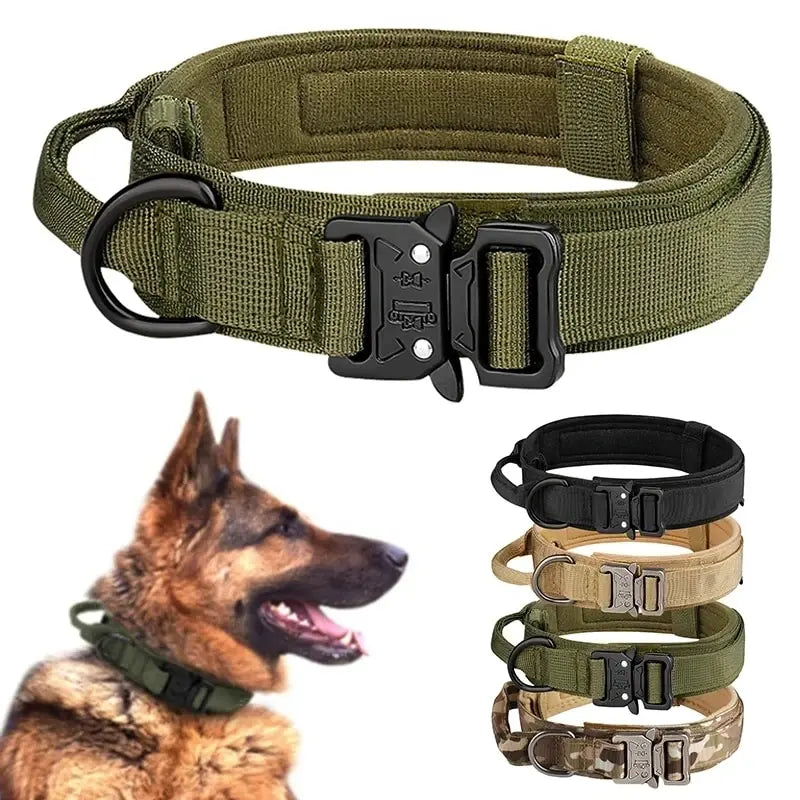 Collier Militaire pour Chien