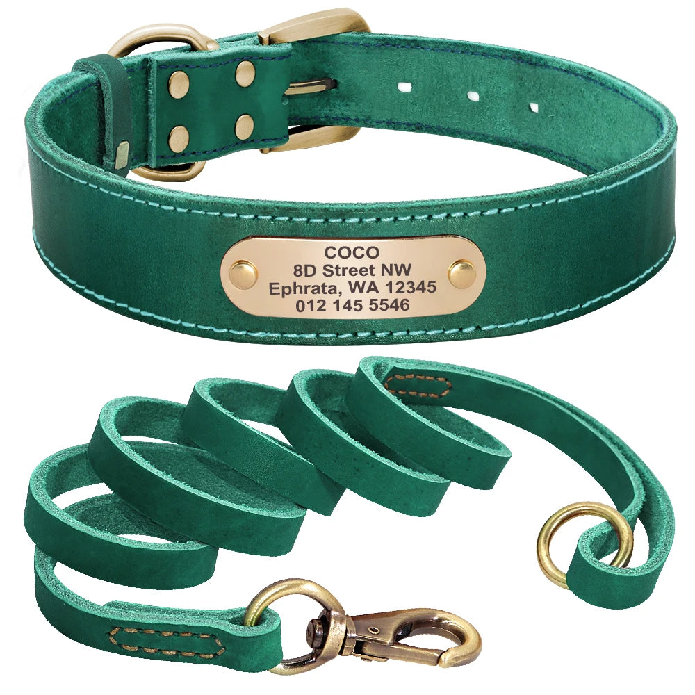Collier et Laisse pour Chien en Cuir Personnalisé