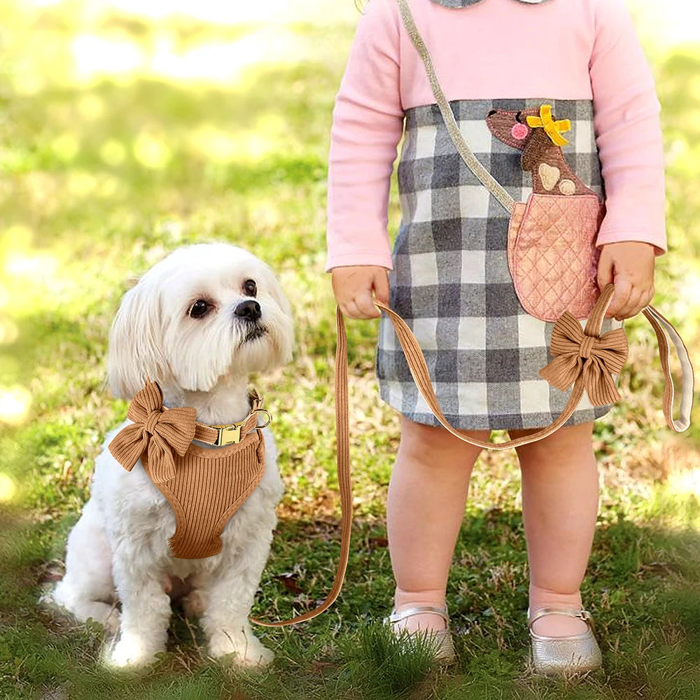 Ensemble Harnais, Collier et Laisse pour Chien