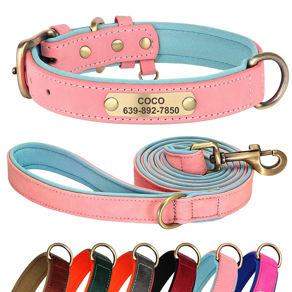Collier et Laisse en cuir pour Chien Personnalisés