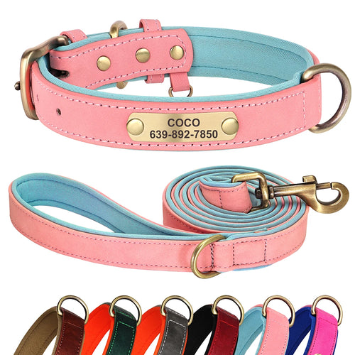 Collier et Laisse en cuir pour Chien Personnalisés