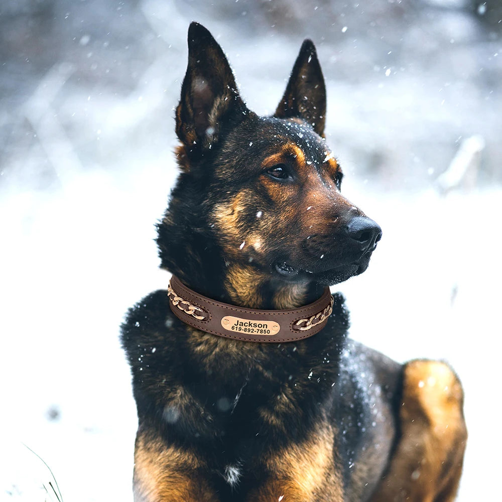 Collier pour Chien en Cuir Personnalisé avec Plaque