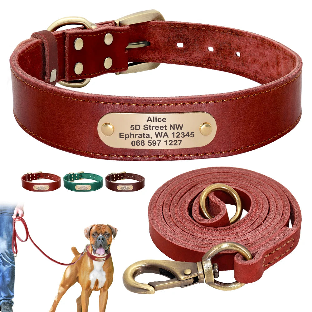 Collier et Laisse pour Chien en Cuir Personnalisé