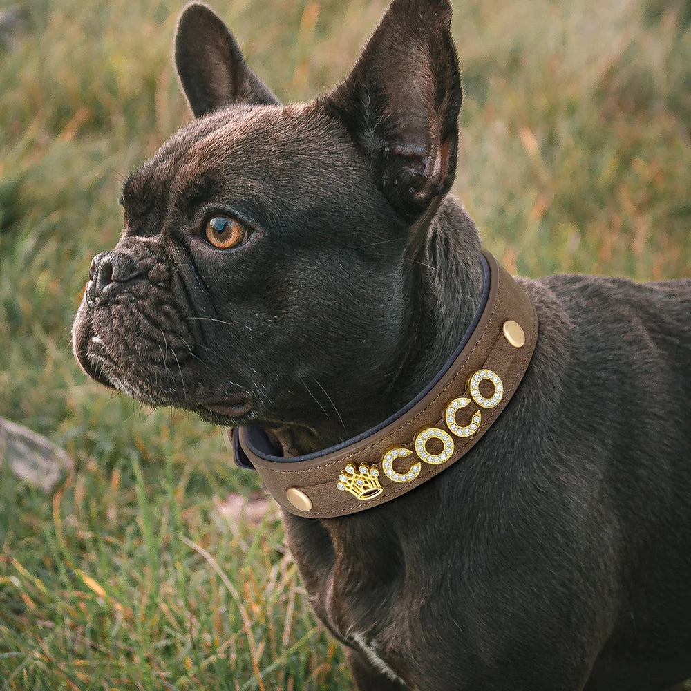 Collier pour Chien Personnalisé avec Strass