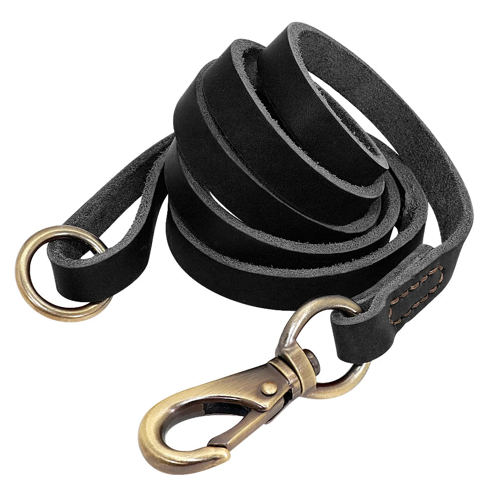 Collier et Laisse pour Chien en Cuir Personnalisé