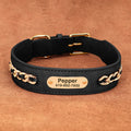 Collier pour Chien en Cuir Personnalisé avec Plaque
