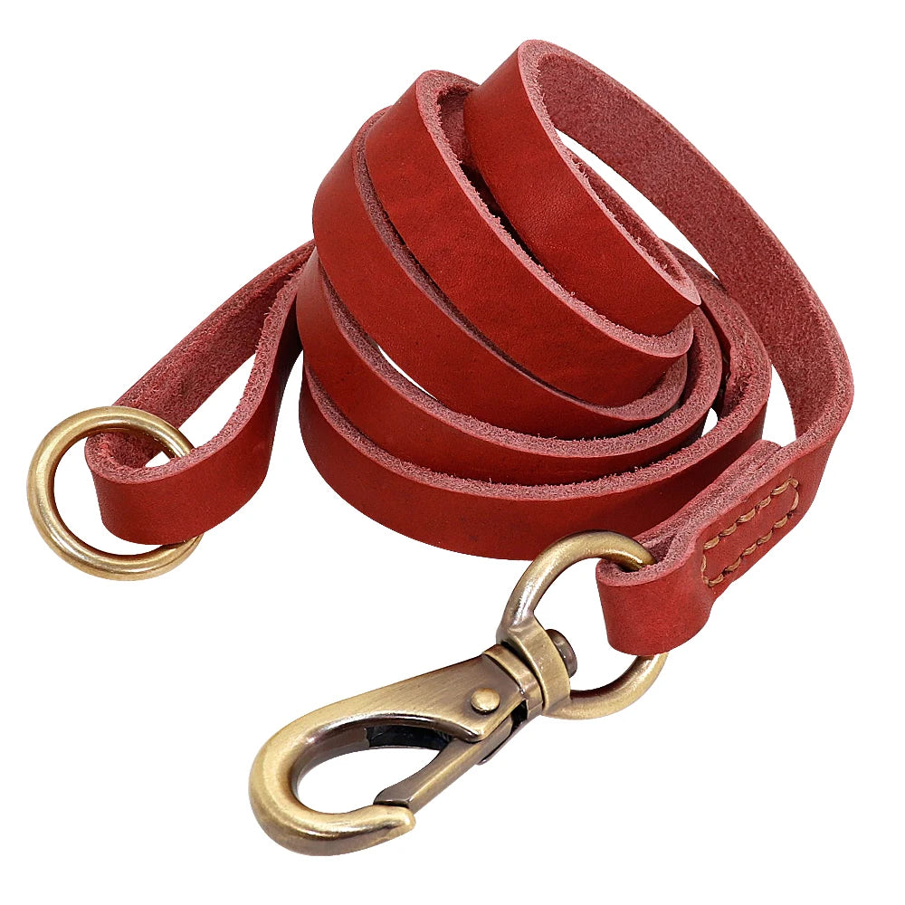 Collier et Laisse pour Chien en Cuir Personnalisé