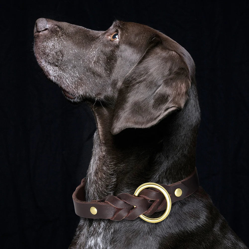 Collier et Laisse pour Chien en Cuir Véritable Tressé