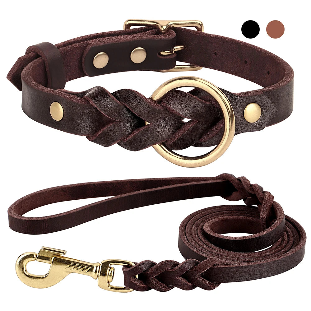 Collier et Laisse pour Chien en Cuir Véritable Tressé