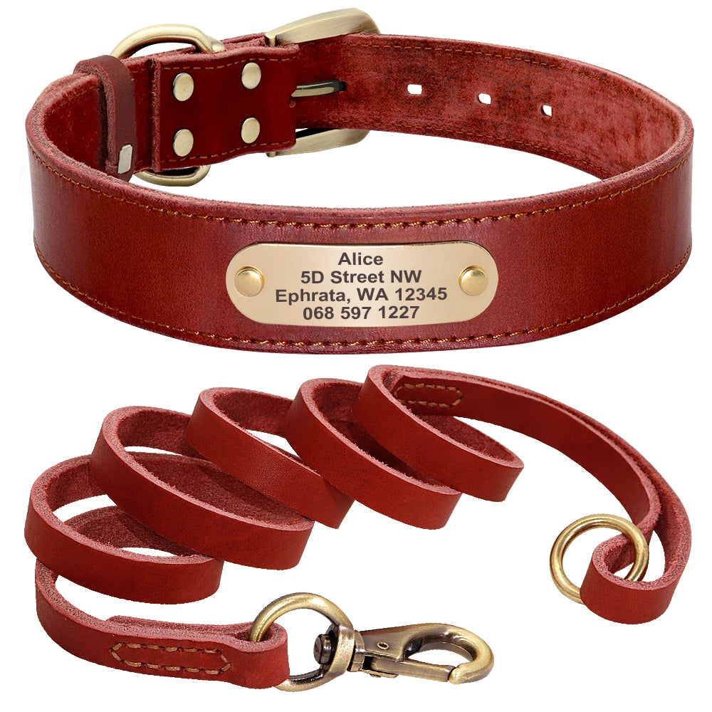 Collier et Laisse pour Chien en Cuir Personnalisé