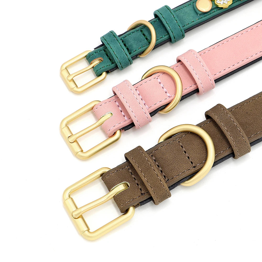 Collier pour Chien Personnalisé avec Strass