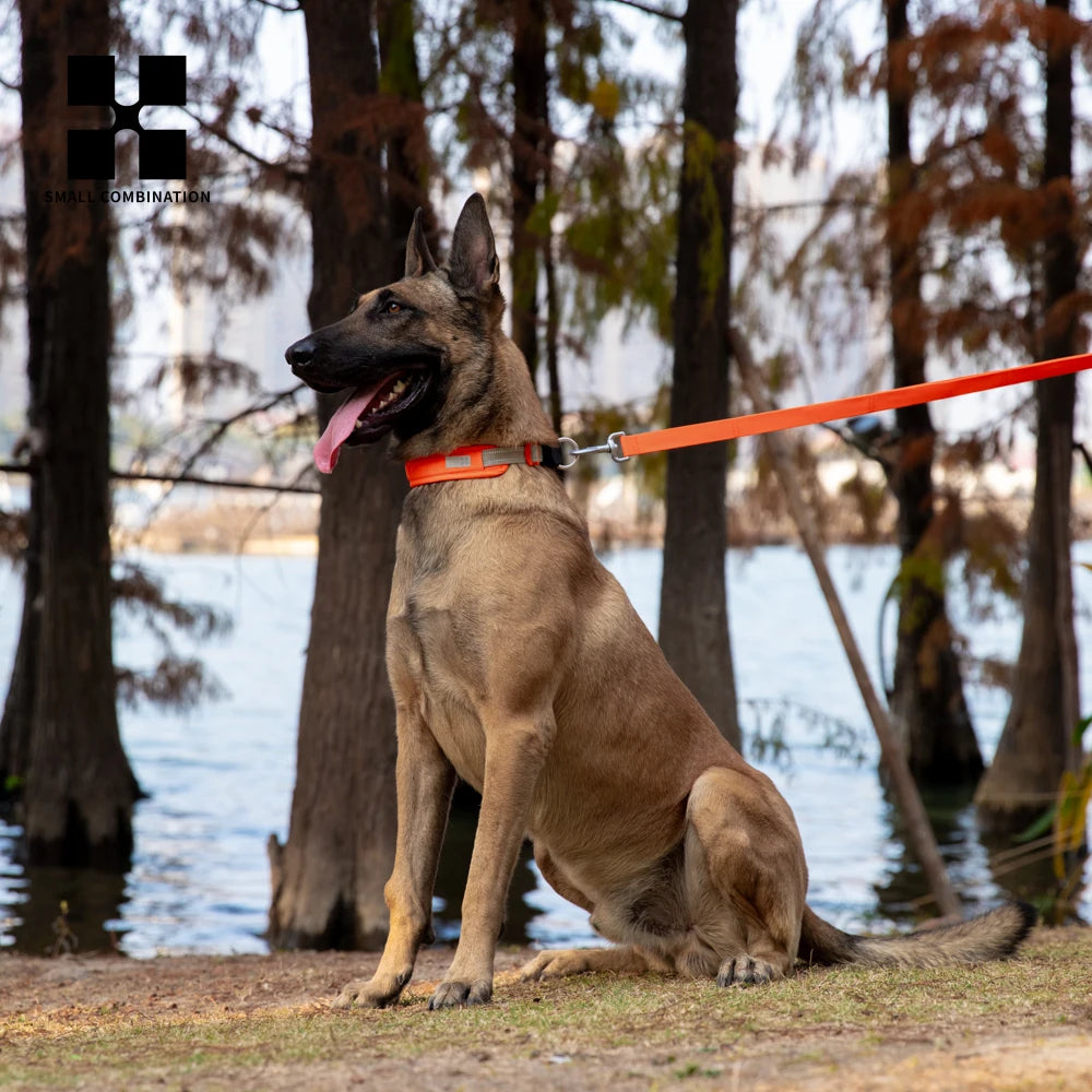 Collier pour Chien AirTag – Nylon Réfléchissant Ajustable