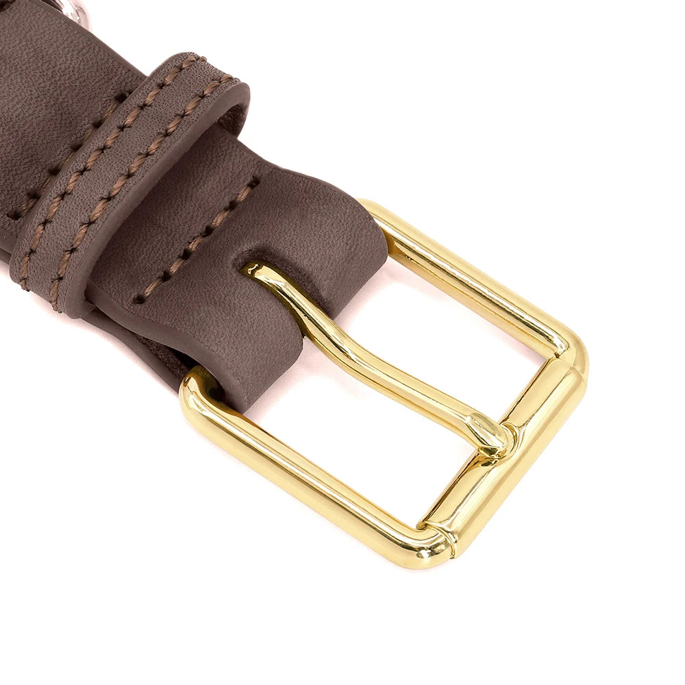 Collier pour Chien en Cuir Personnalisé avec Plaque