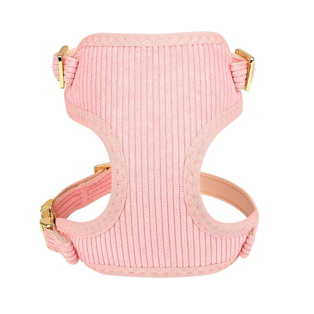 Ensemble Harnais, Collier et Laisse pour Chien