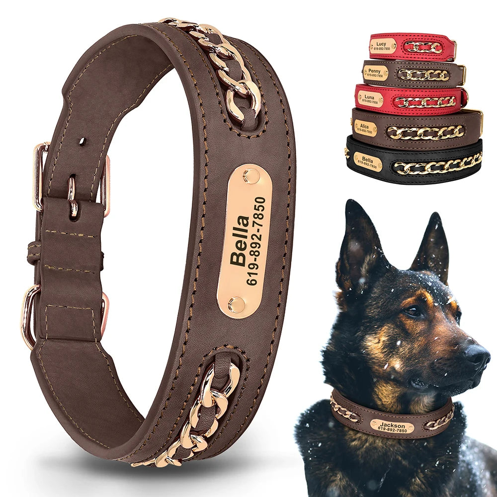 Collier pour Chien en Cuir Personnalisé avec Plaque