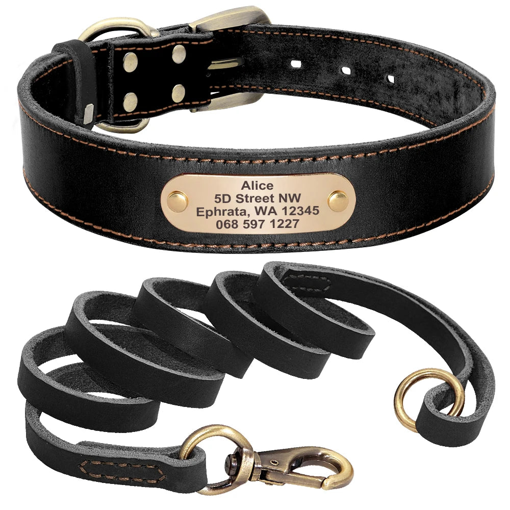 Collier et Laisse pour Chien en Cuir Personnalisé