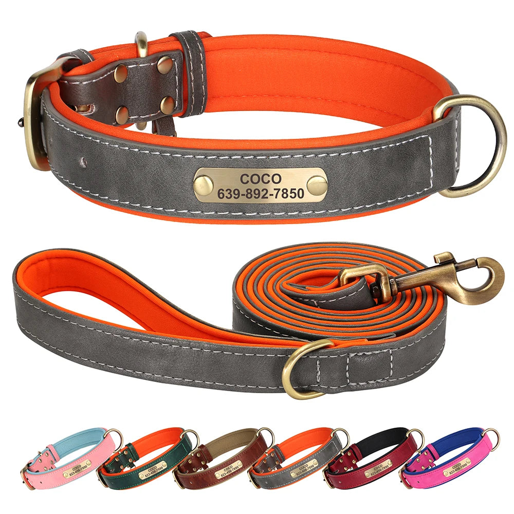 Collier et Laisse en cuir pour Chien Personnalisés