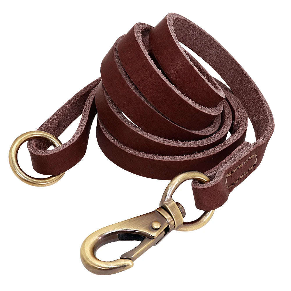 Collier et Laisse pour Chien en Cuir Personnalisé
