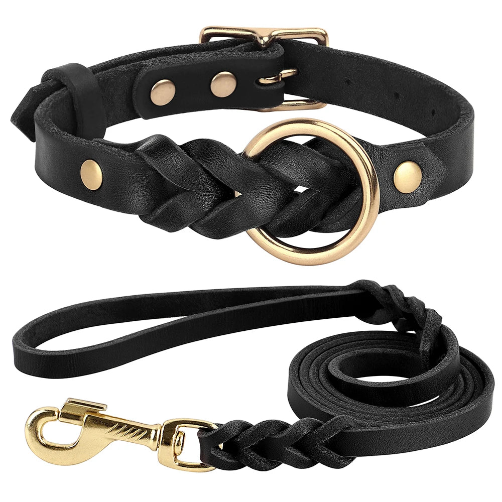 Collier et Laisse pour Chien en Cuir Véritable Tressé