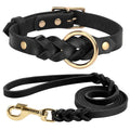 Collier et Laisse pour Chien en Cuir Véritable Tressé